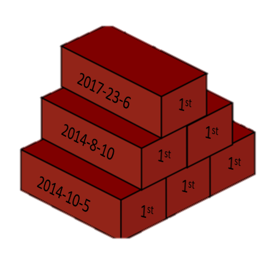Bricks1